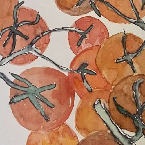tomatoes